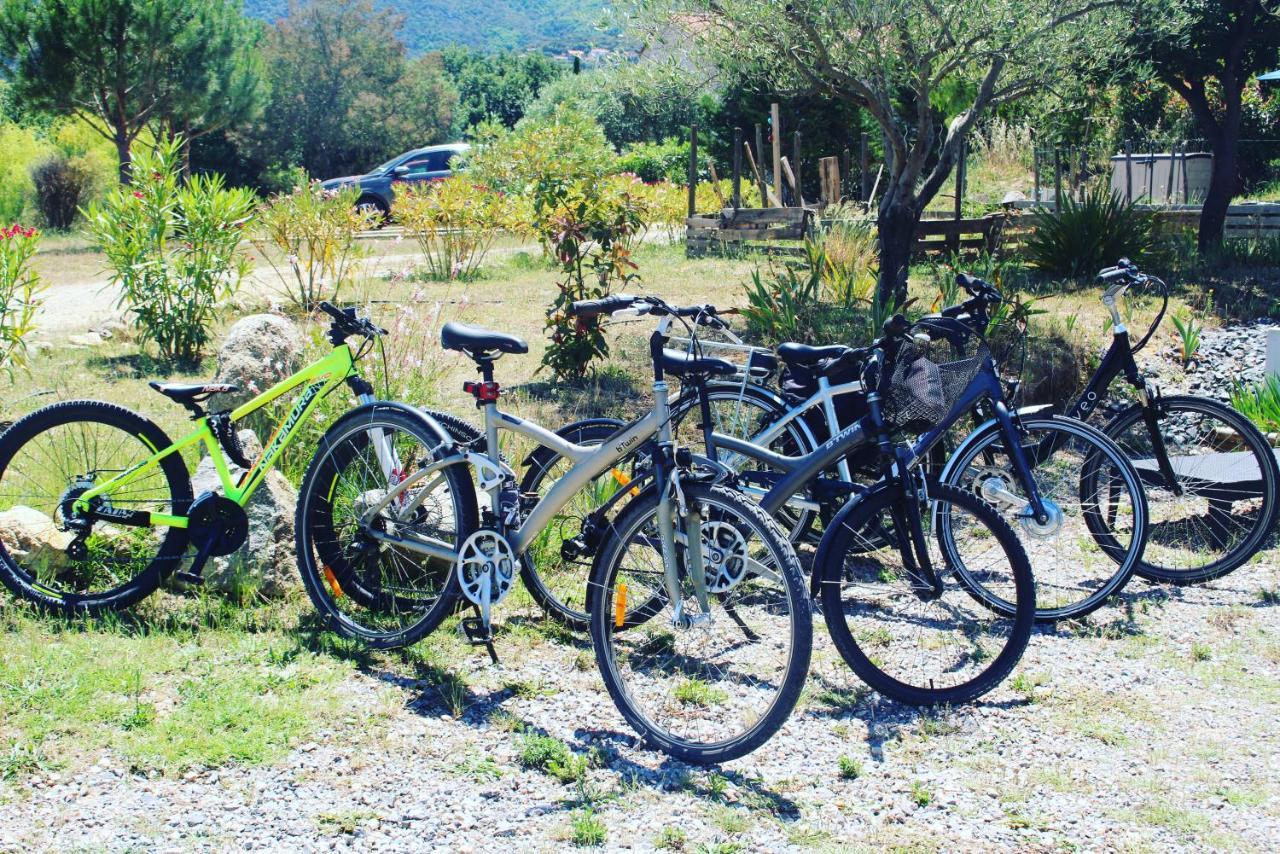 Domaine Pedra Llampada Gite Mer Villelongue-dels-Monts Εξωτερικό φωτογραφία