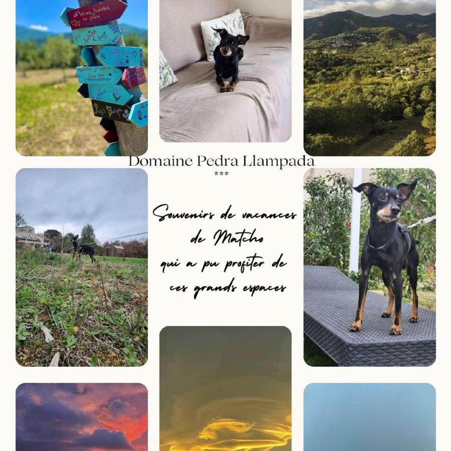 Domaine Pedra Llampada Gite Mer Villelongue-dels-Monts Εξωτερικό φωτογραφία