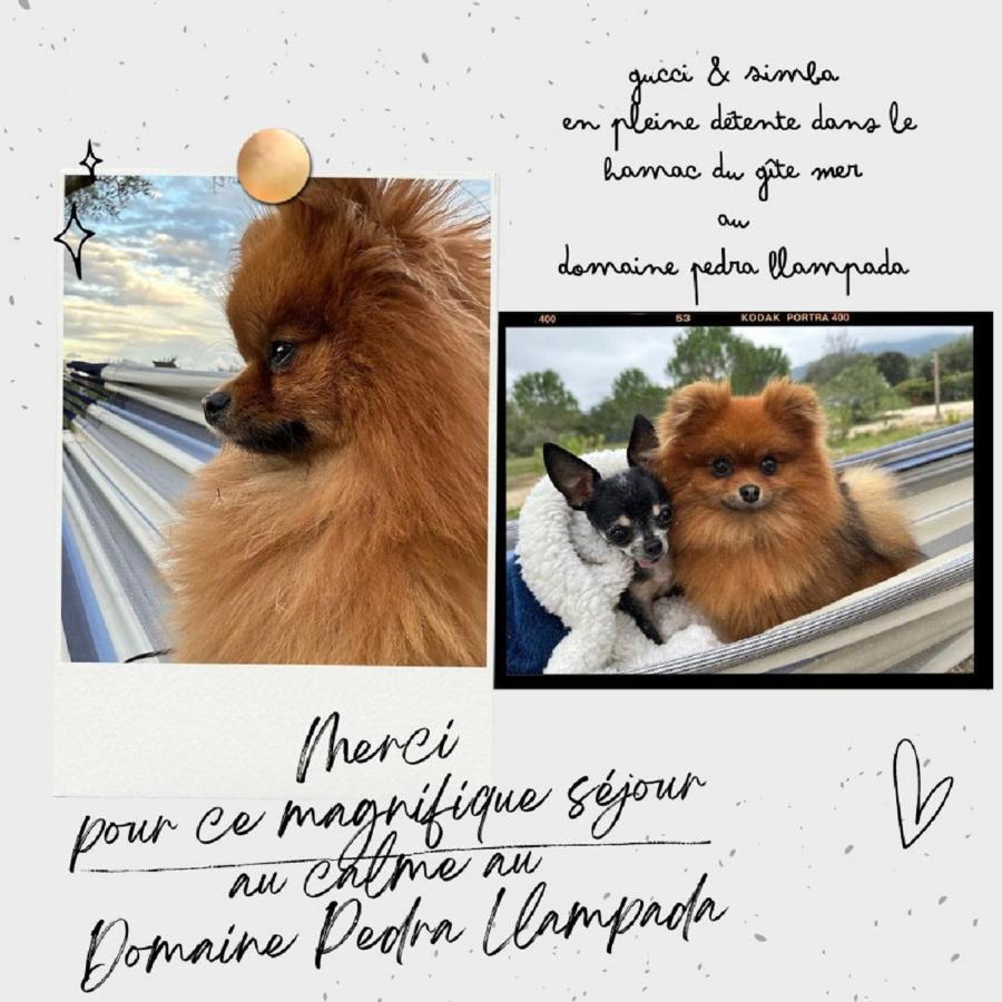Domaine Pedra Llampada Gite Mer Villelongue-dels-Monts Εξωτερικό φωτογραφία
