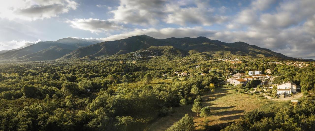 Domaine Pedra Llampada Gite Mer Villelongue-dels-Monts Εξωτερικό φωτογραφία